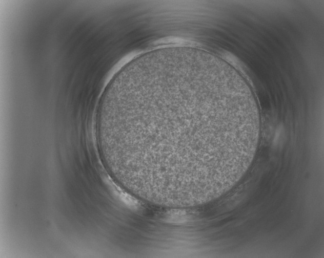 X0000080111098200612301937