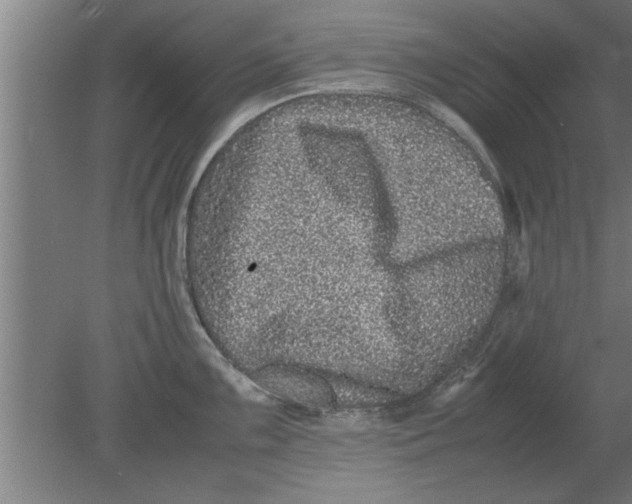 X0000080111099200612301937