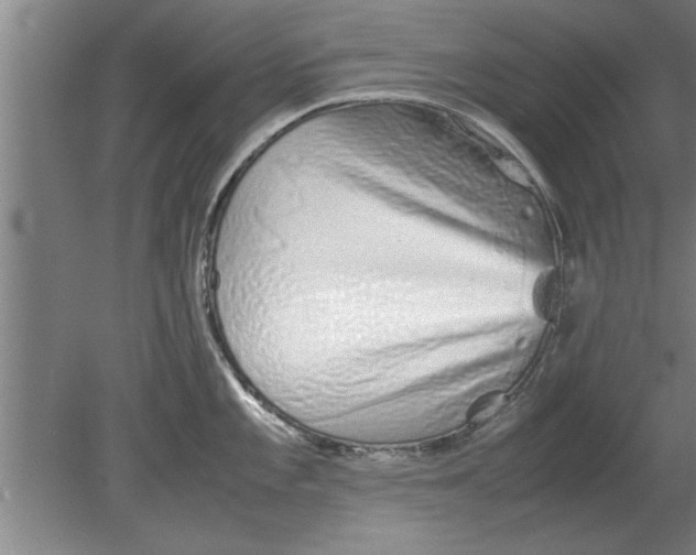 X0000080111101200612301937