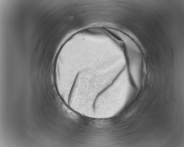 X0000080111102200612301937