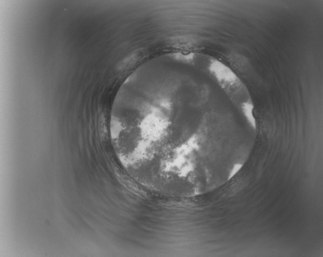 X0000080111106200612301936