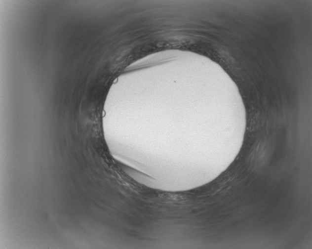 X0000080111109200612301936