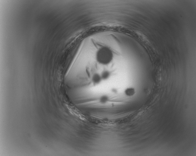 X0000080111110200612301936