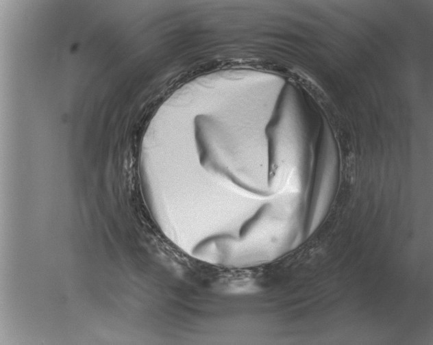 X0000080111111200612301936