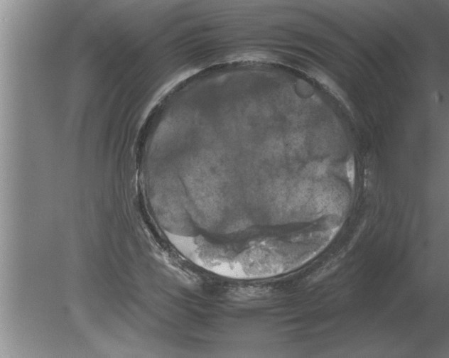 X0000080111117200612301936