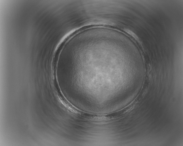 X0000080111120200612301936