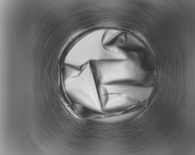 X0000080111123200612301937