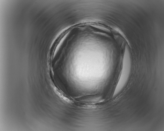 X0000080111124200612301937