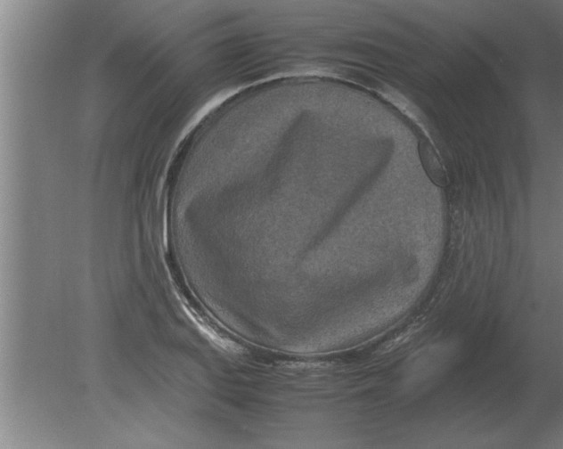 X0000080111127200612301937