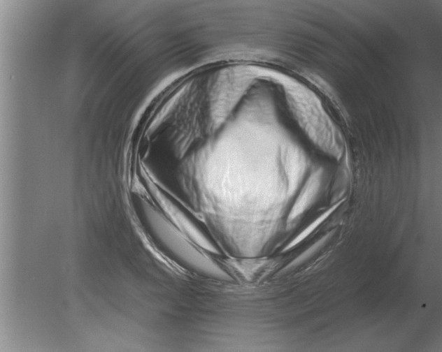 X0000080111128200612301937