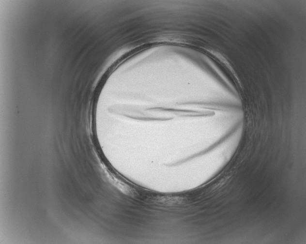 X0000080111131200612301937