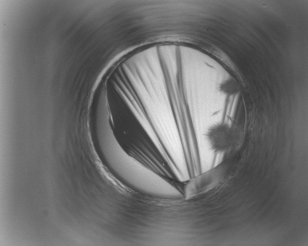 X0000080111132200612301937