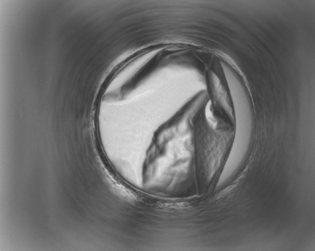 X0000080111133200612301937