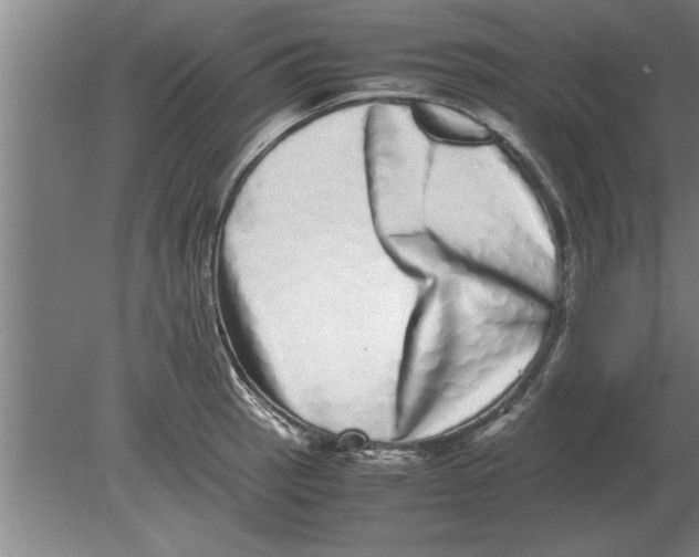 X0000080111137200612301937