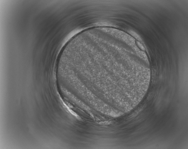 X0000080111141200612301937