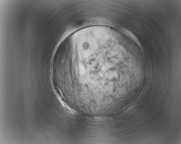 X0000080111144200612301937