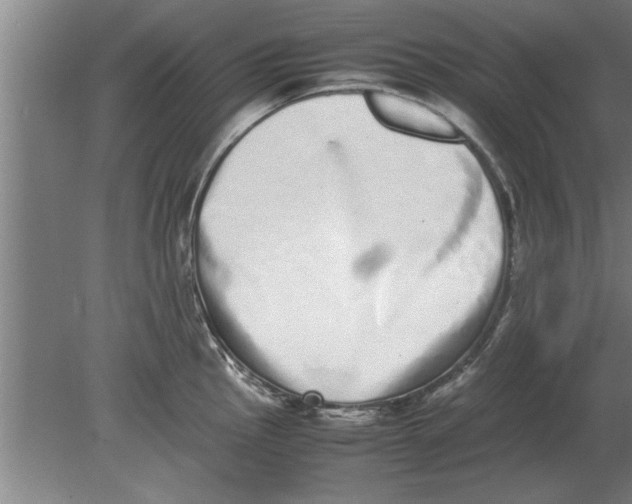 X0000080111145200612301937