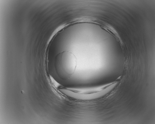 X0000080111146200612301937