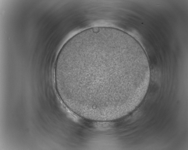 X0000080111150200612301937