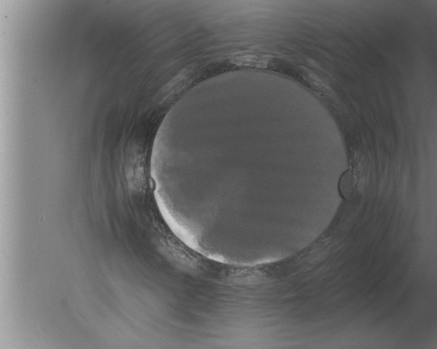 X0000080111154200612301936