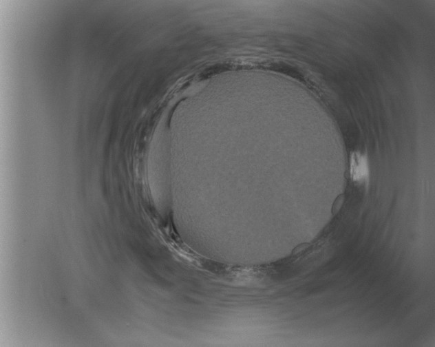 X0000080111155200612301936