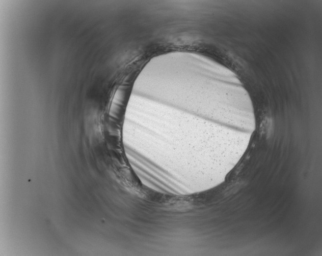 X0000080111156200612301936