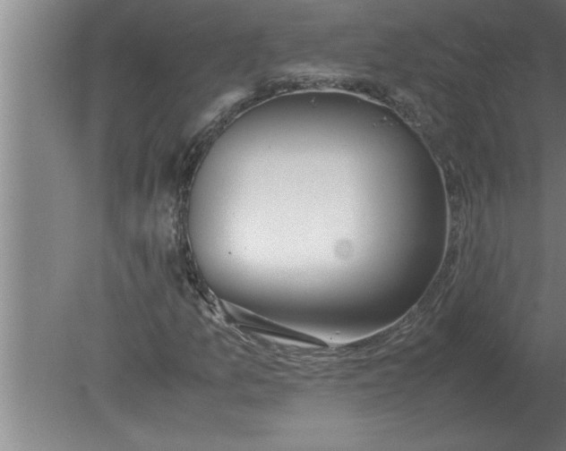 X0000080111157200612301936