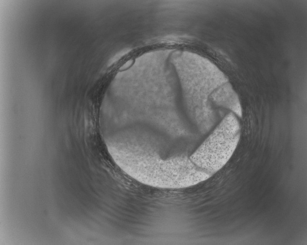 X0000080111158200612301936