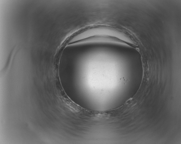 X0000080111160200612301936