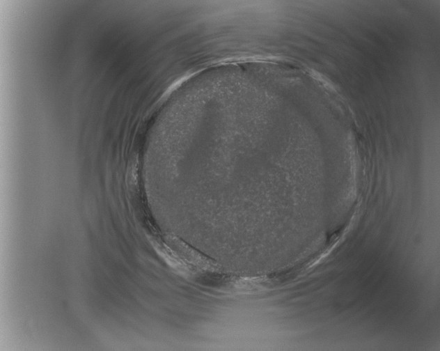 X0000080111161200612301936