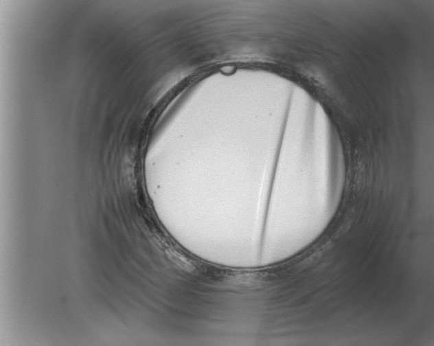 X0000080111162200612301936