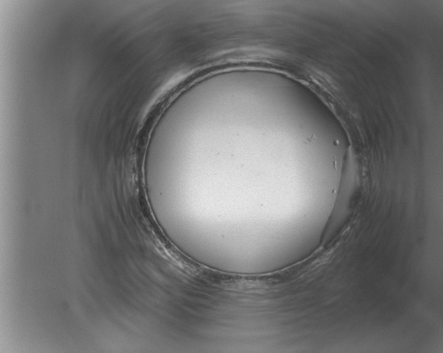 X0000080111164200612301936