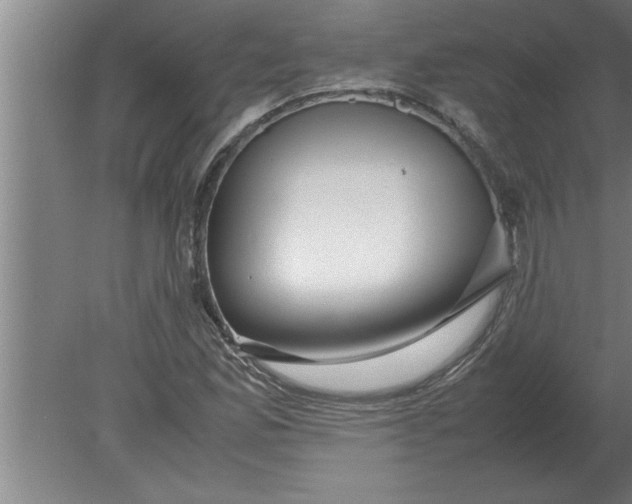 X0000080111165200612301936