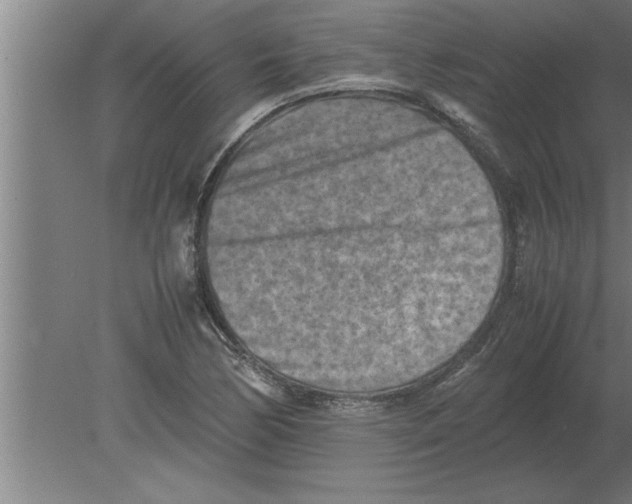 X0000080111170200612301936