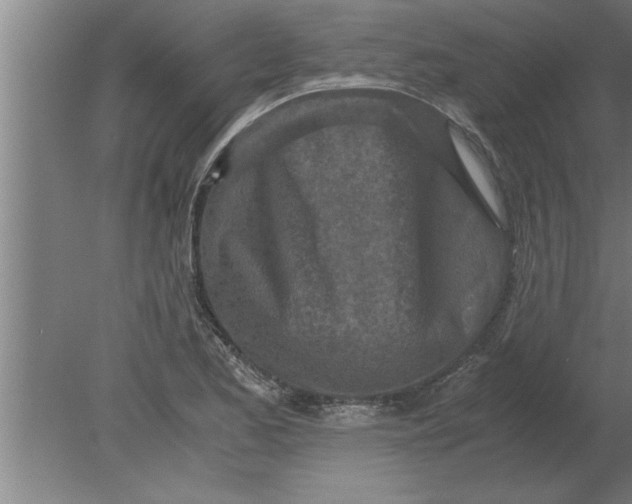 X0000080111173200612301936