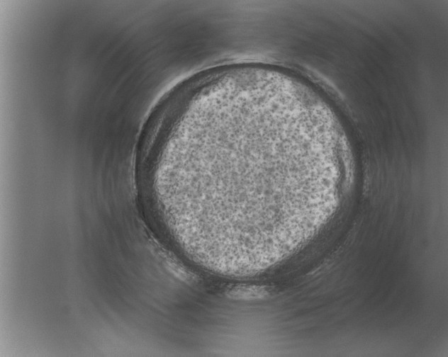 X0000080111174200612301936