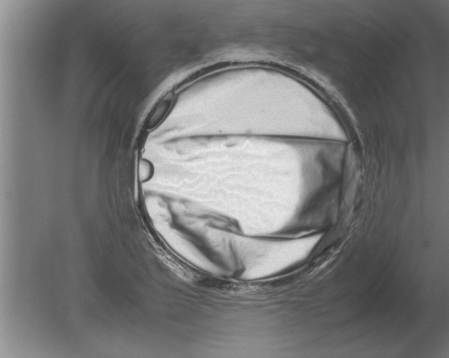 X0000080111175200612301936