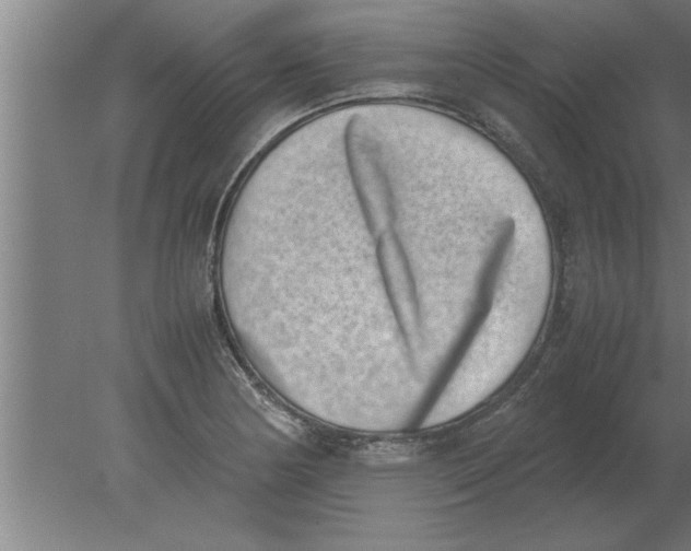 X0000080111178200612301936