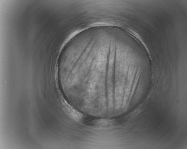 X0000080111179200612301936