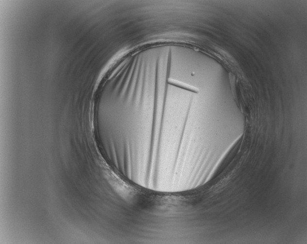 X0000080111180200612301936