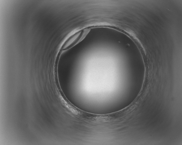 X0000080111181200612301936