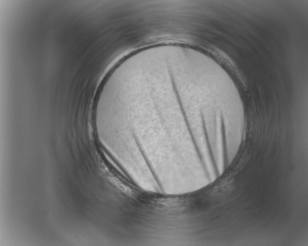 X0000080111182200612301936