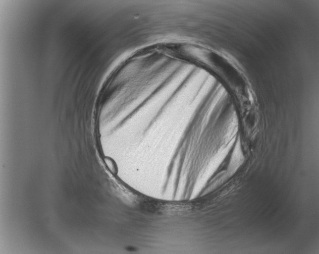 X0000080111183200612301936