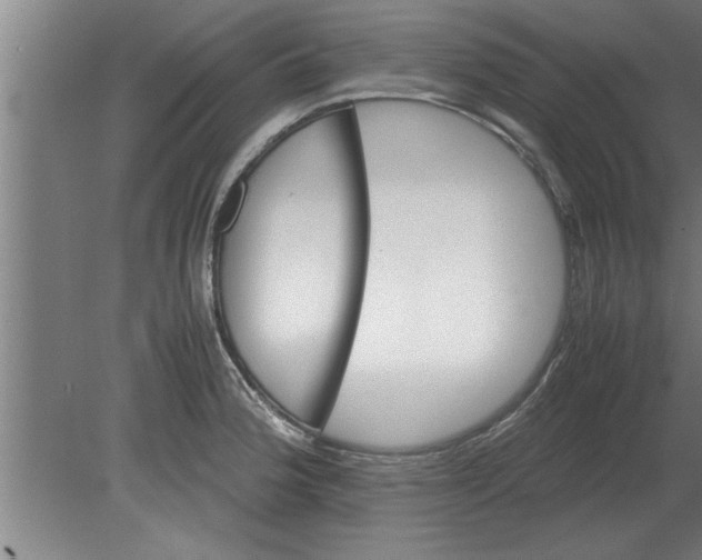 X0000080111188200612301936