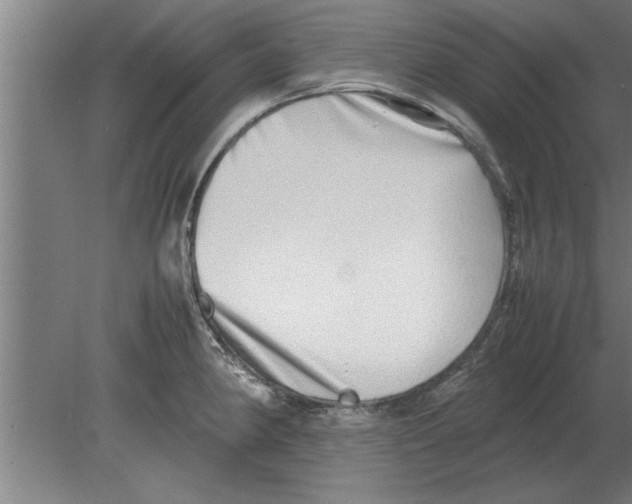 X0000080111190200612301936