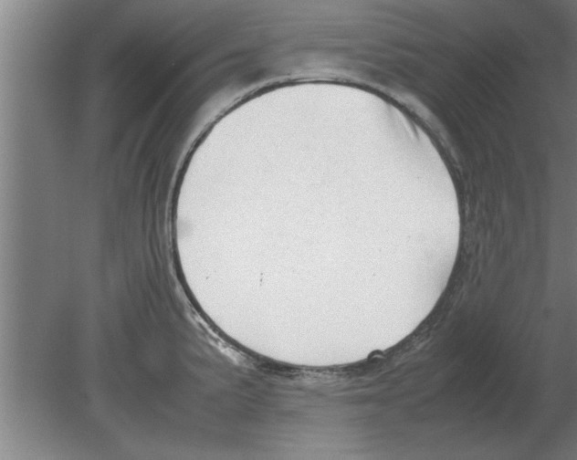 X0000080111191200612301936