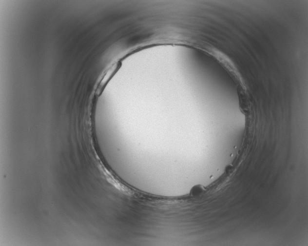 X0000080111192200612301936