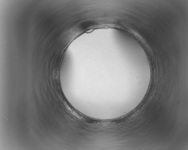 X0000080111193200612301936