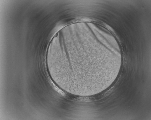 X0000080111194200612301936