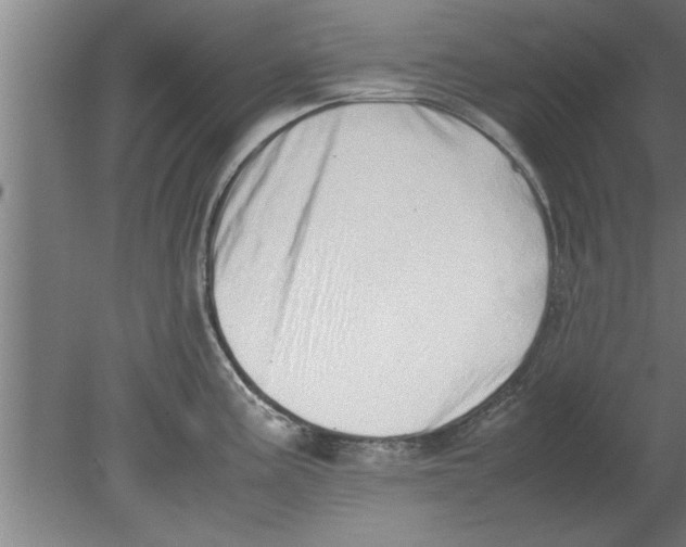 X0000080111195200612301936